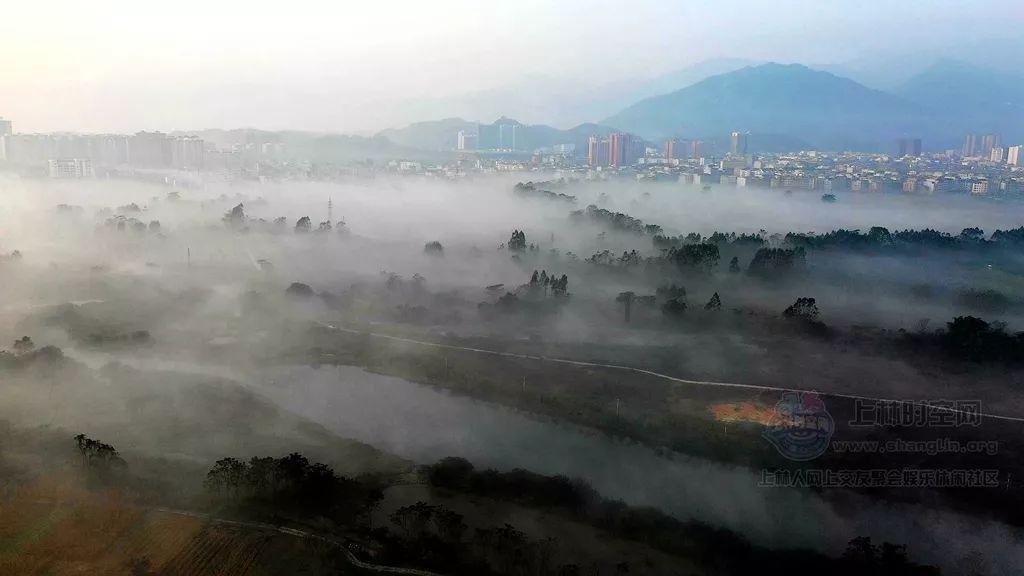 受困的西红柿